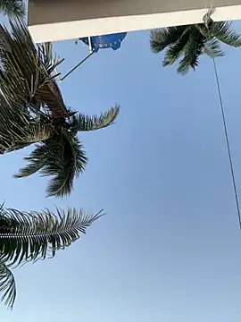 Ishikarana online show from 04/14/26, 01:44