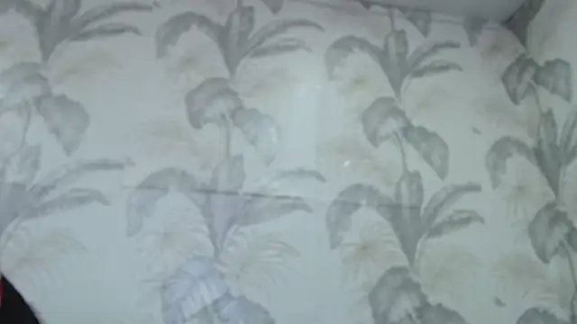 CamDiva113 online show from 02/08/25, 10:07