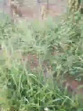 hotpussy-11 online show from 12/11/24, 03:35