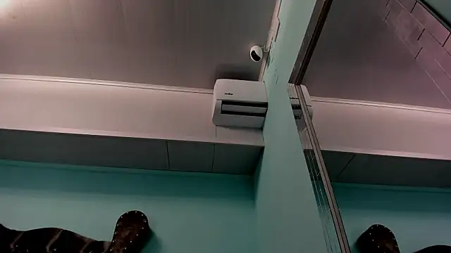 alice greco online show from 12/31/24, 10:58