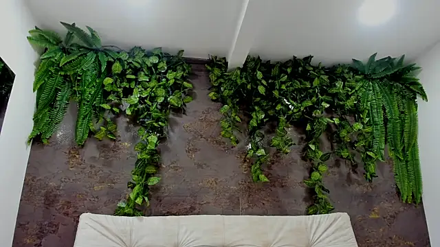 alice greco online show from 01/05/26, 06:55