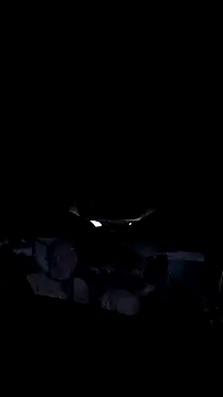 AriellaTaylor online show from 12/14/25, 12:32