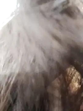 Kiritika 1 online show from 03/25/26, 02:39