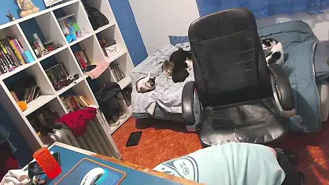 ravingr4d4 online show from 02/02/26, 11:25