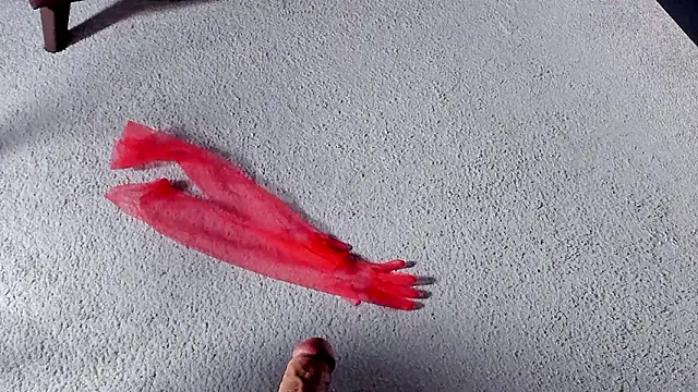 Dorothy Meyer online show from 03/27/26, 08:26