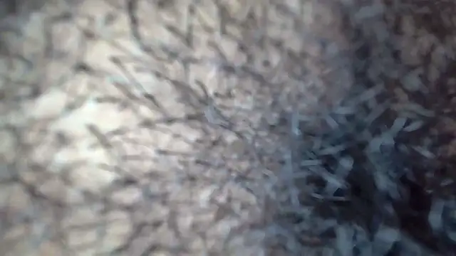 white sexy  online show from 11/29/25, 11:41