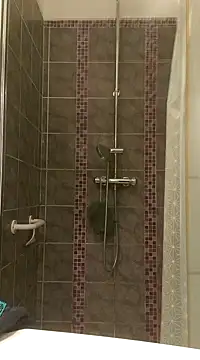 pachapeter online show from 01/29/25, 05:24