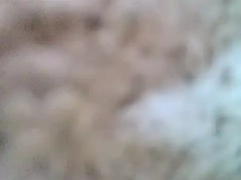 DaddyQuimHot online show from 02/09/25, 12:08