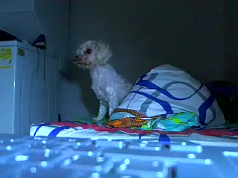 Ian zaenzz online show from 11/27/25, 05:09