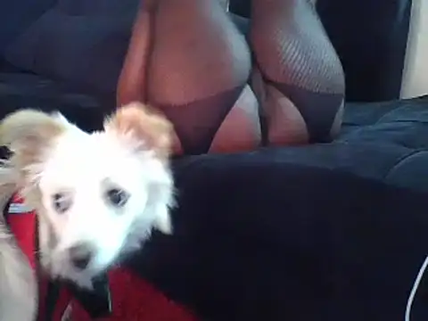 KikiLovesD online show from 12/23/24, 02:07