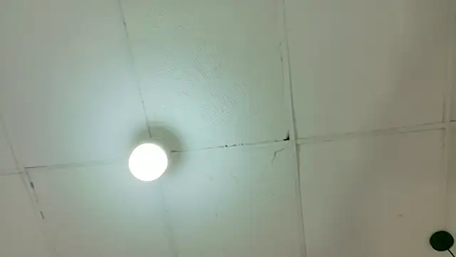 kendalltaylorr online show from 03/06/26, 04:42