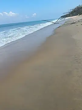 sexntease online show from 03/05/25, 03:08