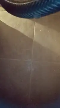 Snapshot of whitetrashdirtyslut chatting on 12/04/25, 03:16 whitetrashdirtyslut online show from 12/04/25, 03:16