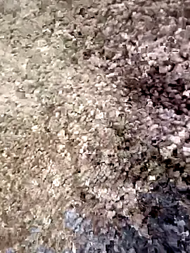 christian0009 online show from 12/18/25, 04:46