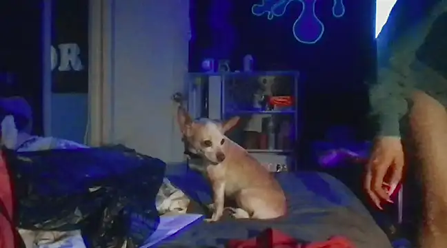 Snapshot of watermellonpussy chatting on 12/28/24, 05:55 watermellonpussy online show from 12/28/24, 05:55