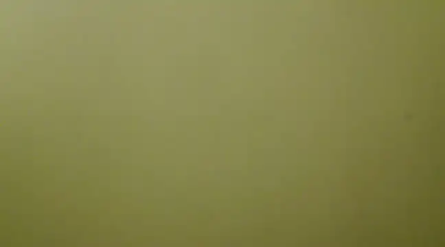  Blue Ruubyy  online show from 02/01/25, 12:37