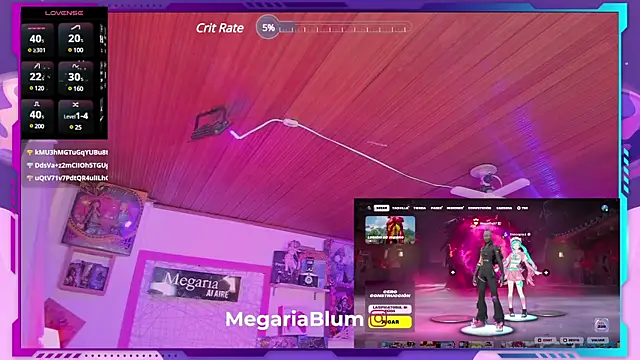 MegariaB online show from 02/18/25, 07:54