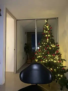 Snapshot of Susi_bell chatting on 12/18/24, 02:53 Susi bell online show from 12/18/24, 02:53