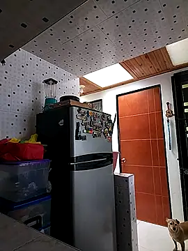 Mariam Gomezxxx online show from 10/06/25, 03:53