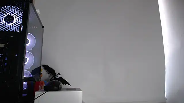 harold 18  online show from 10/02/25, 06:15