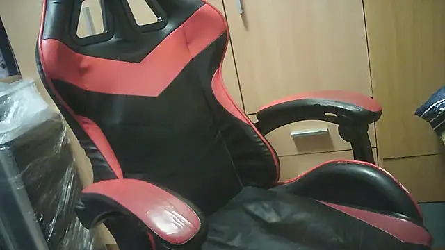 Javier bear online show from 10/17/25, 08:06