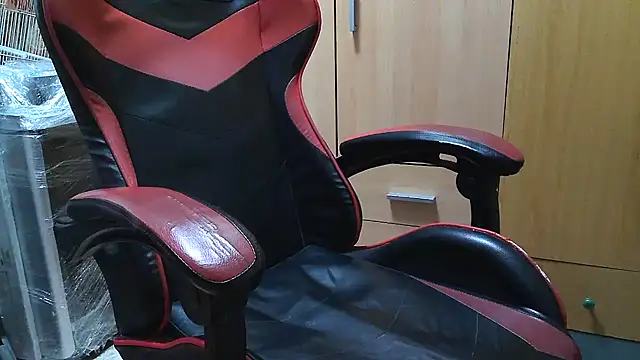 Javier bear online show from 03/16/26, 10:30