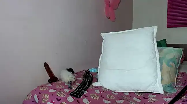 Snapshot of hazisabel chatting on 12/19/24, 03:40 hazisabel online show from 12/19/24, 03:40