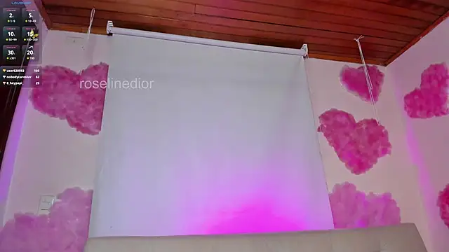 roselinedior online show from 02/25/25, 08:19