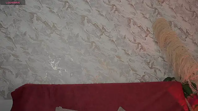 roselinedior online show from 09/25/25, 01:15