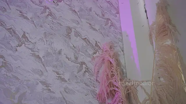 roselinedior online show from 12/02/25, 01:17