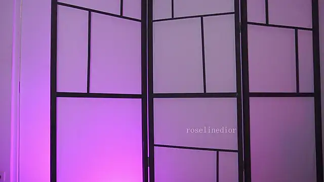 roselinedior online show from 02/27/26, 07:36