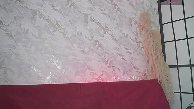 roselinedior online show from 03/15/26, 04:24