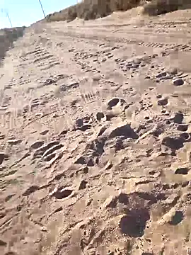 prettyboi6992 online show from 03/01/26, 11:51