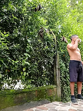 sebasxx97 online show from 01/12/26, 02:00