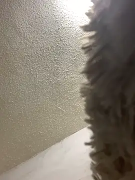 talitasilvx online show from 03/18/25, 11:09