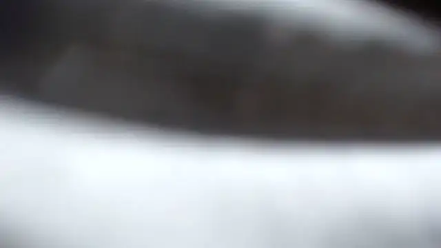 Snapshot of BERNINIBLUSHX89 chatting on 03/10/25, 04:03 BERNINIBLUSHX89 online show from 03/10/25, 04:03