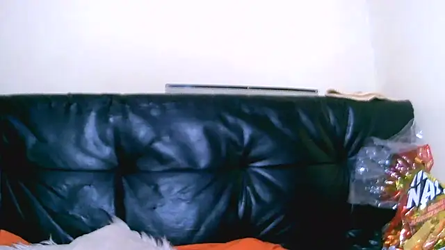 Bustypillows online show from 07/10/26, 03:47