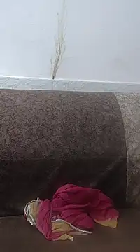 Snapshot of Aaradhya chatting on 02/24/25, 03:33 Aaradhya online show from 02/24/25, 03:33