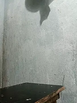 Sergipano fogozinho online show from 12/05/25, 01:47