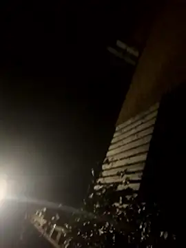 jent59 online show from 01/17/26, 02:16