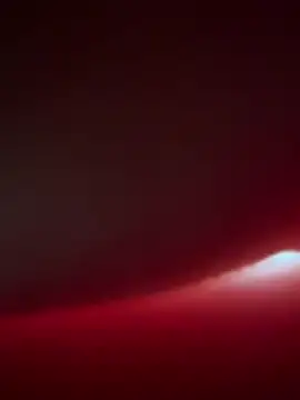 SeiGeilUndFrei online show from 02/14/26, 08:55