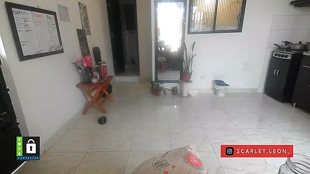 Scarletleon77 online show from 04/16/26, 02:07