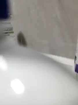 Beijing2000 online show from 03/27/26, 11:32