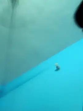 Snapshot of Crezy-Queen01 chatting on 10/15/25, 05:46 Crezy-Queen01 online show from 10/15/25, 05:46