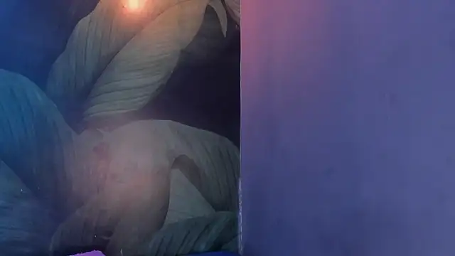 sweett dirty online show from 02/01/25, 03:28