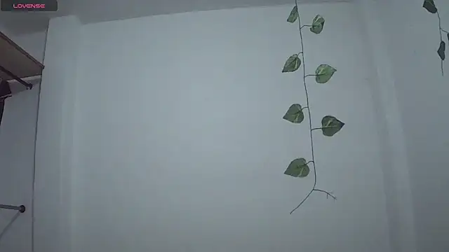 stephybrowm7 online show from 10/28/25, 05:37