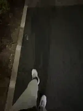 Tkcqcc online show from 02/15/26, 09:30