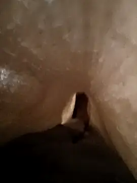 Shivaa- online show from 03/21/26, 08:19