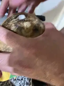 Snapshot of FlorBich chatting on 12/08/24, 11:08 FlorBich online show from 12/08/24, 11:08