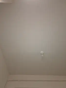 wedge75 online show from 04/20/26, 02:53